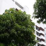 Delight Apartment