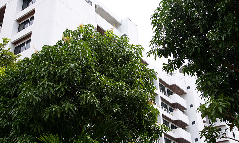Delight Apartment