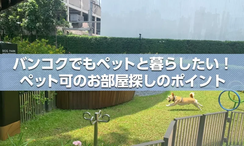 バンコクでもペットと暮らしたい！ペット可のお部屋探しのポイント