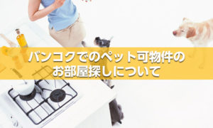 バンコクでのペット可のお部屋探しについて